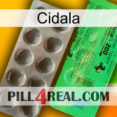 Cidala new04